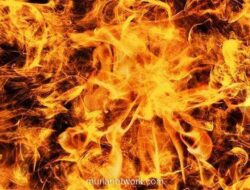 Kebakaran Hebat di Karet Tengsin Jakpus: Kronologi, Penyebab, dan Dampak Kerusakan