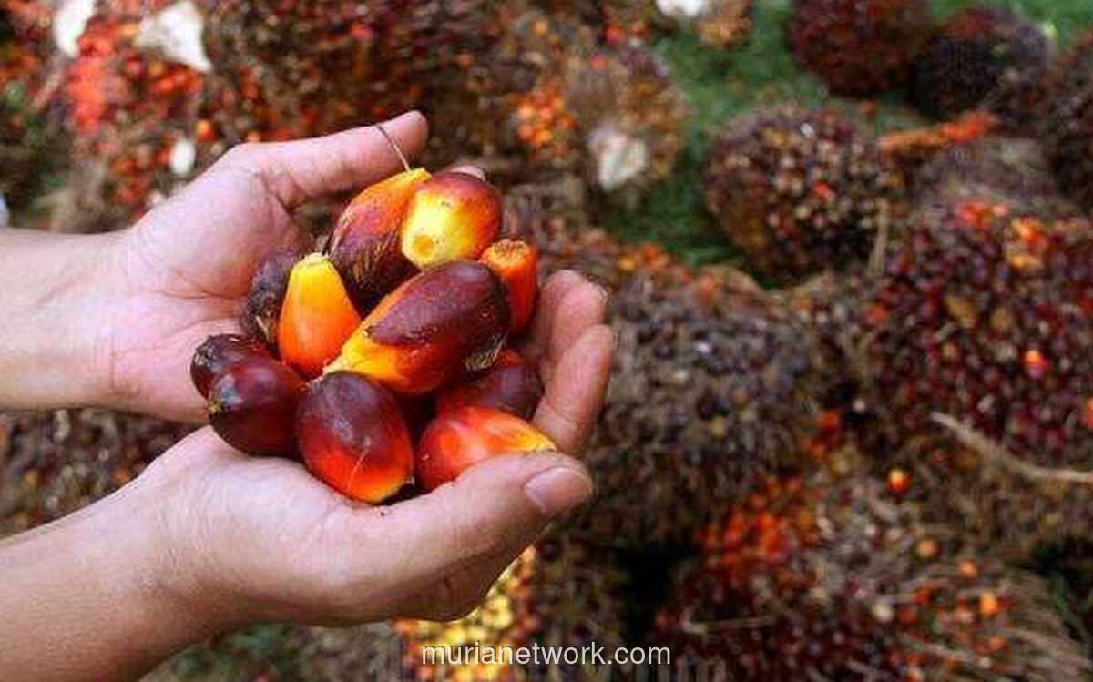 B40 hingga SAF: Langkah Strategis Indonesia Genjot Hilirisasi Sawit Tekan Emisi & Dongkrak Ekspor