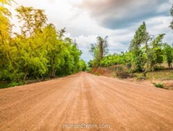 Mafia Tanah Menurut Nusron Wahid: Fakta & Peringatan Keras untuk Aparat BPN