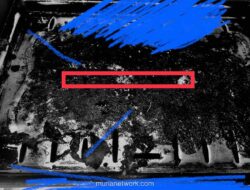 Kejujuran: Fondasi Utama Membangun Indonesia yang Lebih Baik dan Maju