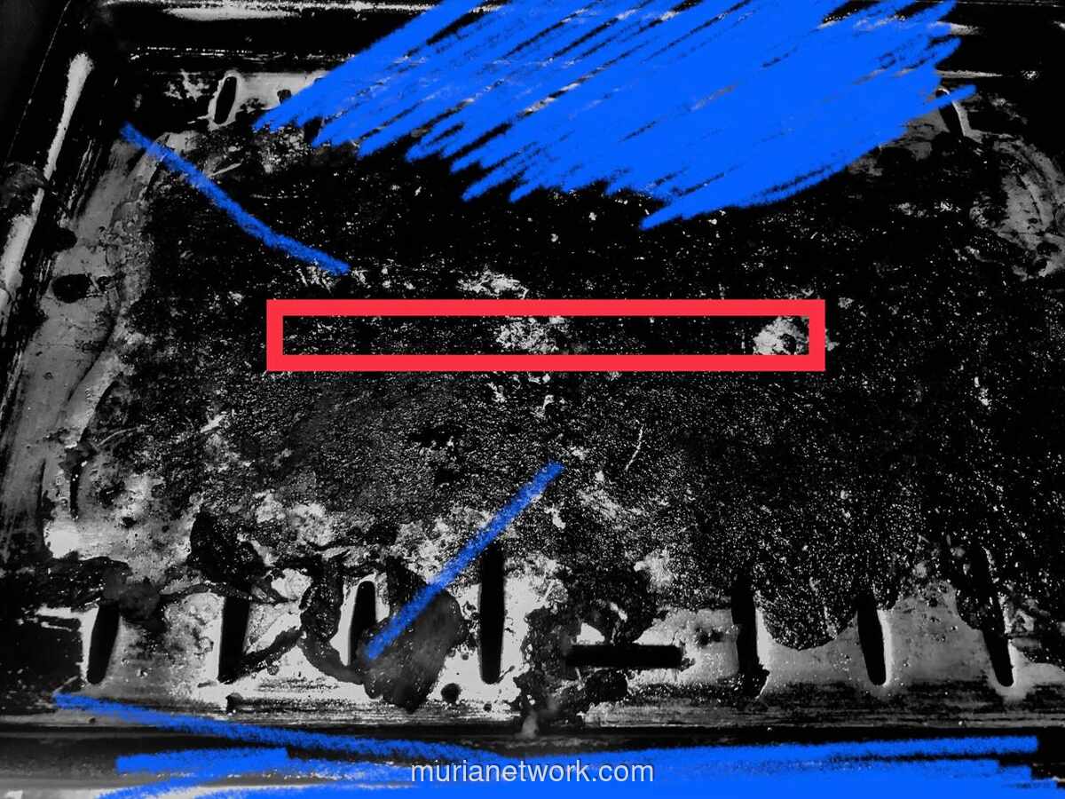 Kejujuran: Fondasi Utama Membangun Indonesia yang Lebih Baik dan Maju