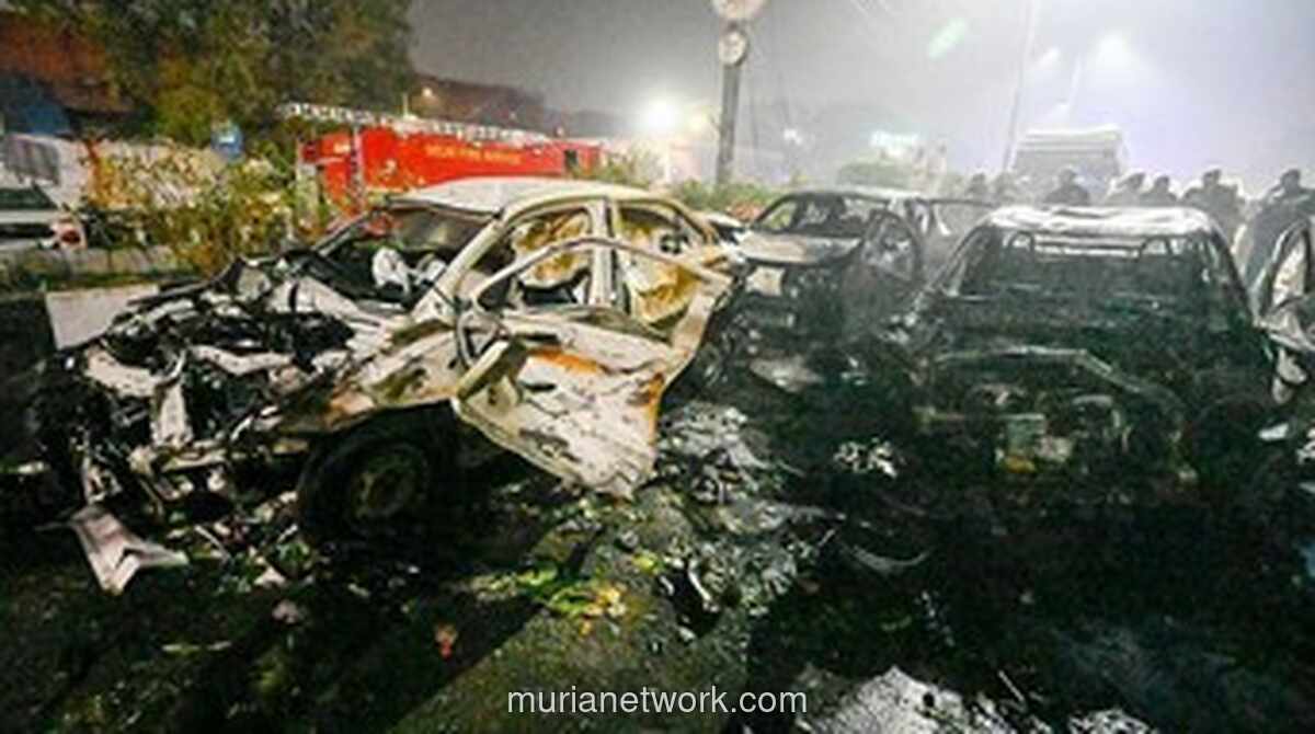 Ledakan Mobil di Dekat Red Fort Delhi: NIA Tangkap Pemilik Kendaraan Pelaku