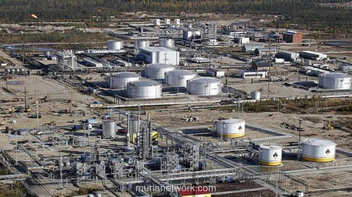 Update Harga Komoditas Hari Ini: Minyak Mentah & Batu Bara Naik, CPO & Timah Turun