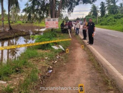 Kronologi Terbaru Kalimantan Barat: Maut di Mempawah hingga Patroli Perbatasan RI-Malaysia