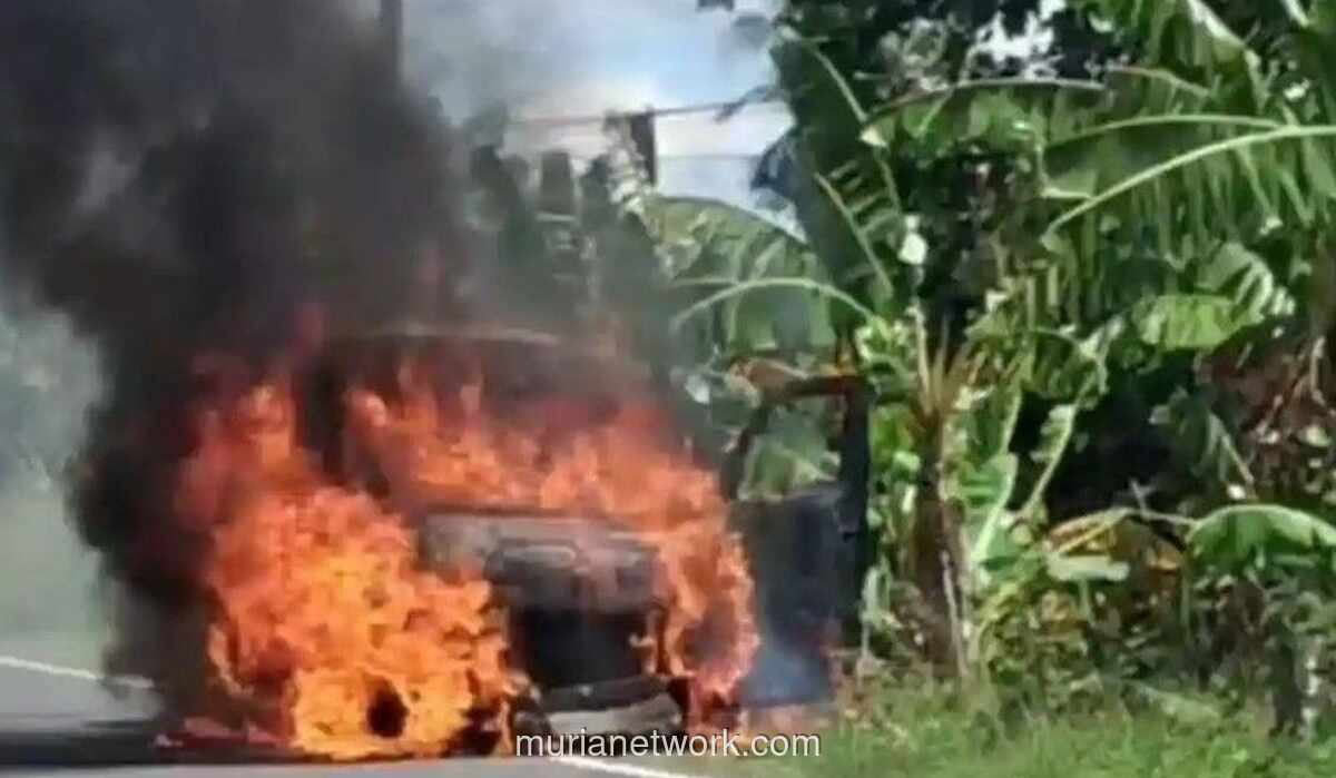 Uang Rp 4,6 Miliar Terbakar di Polewali Mandar: Kronologi, Fakta, dan Reaksi Menkeu