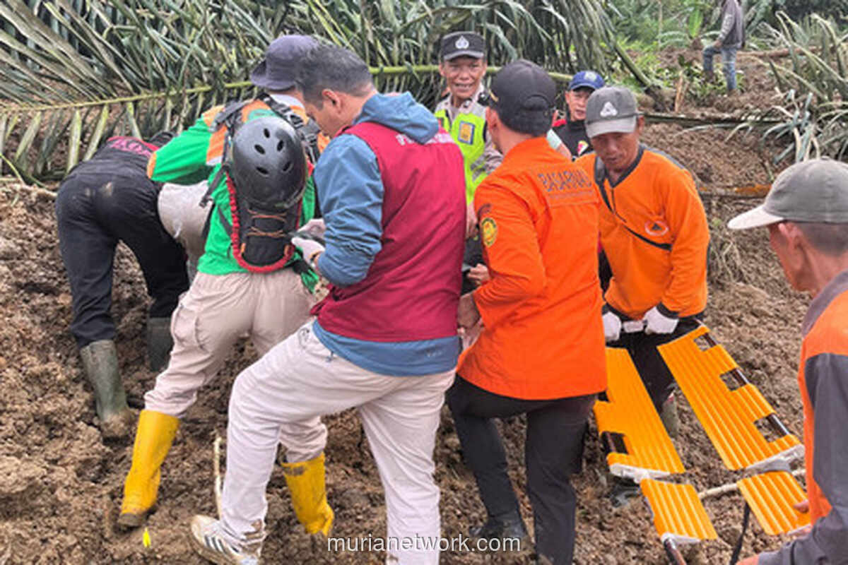 Risiko Longsor Tertinggi di Jateng: Data BNPB Sebut Banjarnegara & Cilacap Paling Rawan