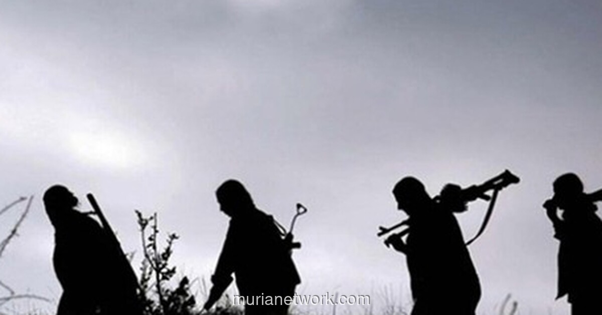 25 Siswi Diculik di Kebbi Nigeria: Kronologi & Dampak Serangan Sekolah