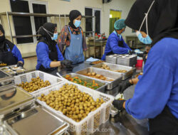 Wajib Sertifikat Halal untuk Dapur MBG & Inflasi Emas 45 Bulan: Analisis Lengkap