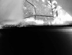 Mengapa Manusia Sering Bohong? 7 Alasan Psikologis & Dampaknya