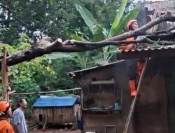 Pohon Tumbang & Longsor Landa Citereup Bogor, Rumah Warga Rusak