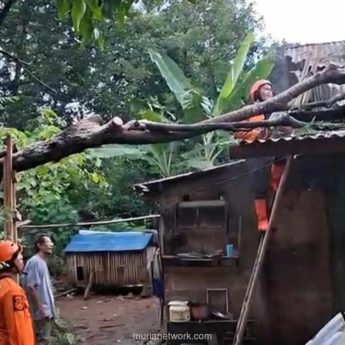 Pohon Tumbang & Longsor Landa Citereup Bogor, Rumah Warga Rusak