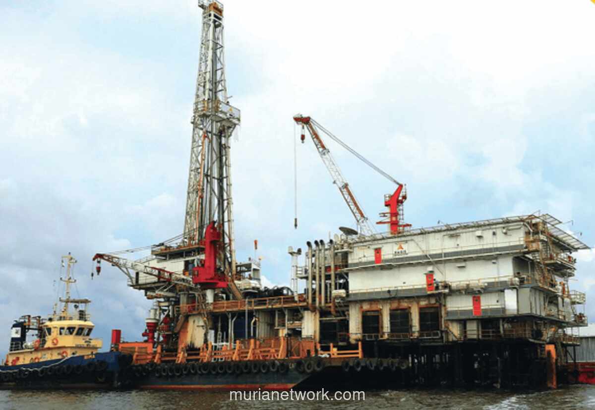 Profil & Pemegang Saham APEX (Apexindo): Analisis Lengkap Kinerja dan Kepemilikan