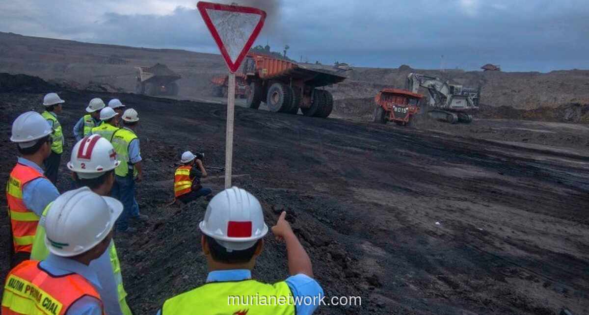 BRMS Tegaskan Pajak Ekspor Emas Tak Pengaruhi Pendapatan, Ini Alasannya