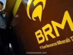 BRMS Pasok Emas Poboya ke 5 Pembeli Domestik: Daftar Perusahaan & Dampak Pajak Ekspor