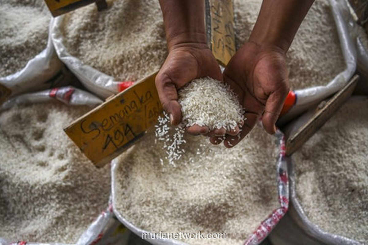 Bulog SulutGo Catat Rekor Serapan Gabah Tertinggi, Hampir Tembus Target 2.500 Ton