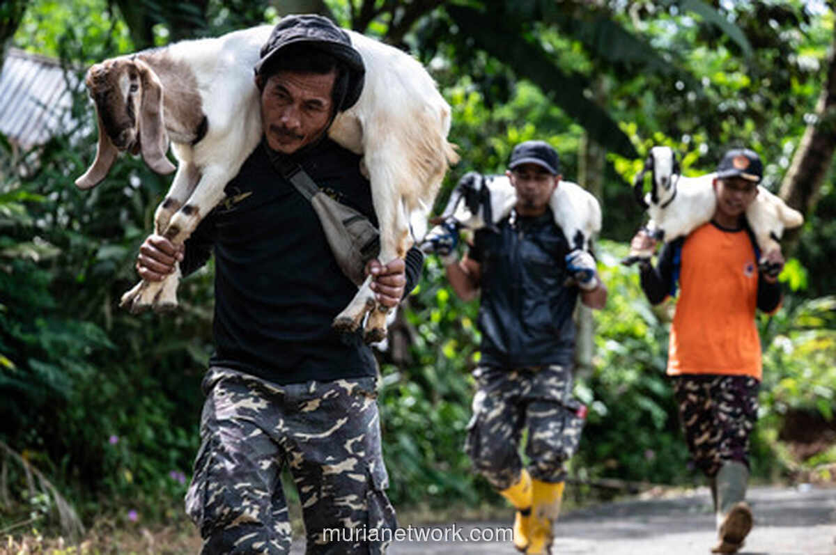 Gotong Royong Warga Banjarnegara Selamatkan Aset Pasca Tanah Longsor Dusun Situkung