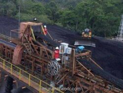 Dividen Interim MCOL Rp284,45 Miliar: Besaran, Jadwal, dan Pencairan 15 Desember 2025