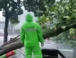 Pohon Tumbang di Bogor Tutup Jalan, Ini Penanganan BPBD | Info Bencana 2025