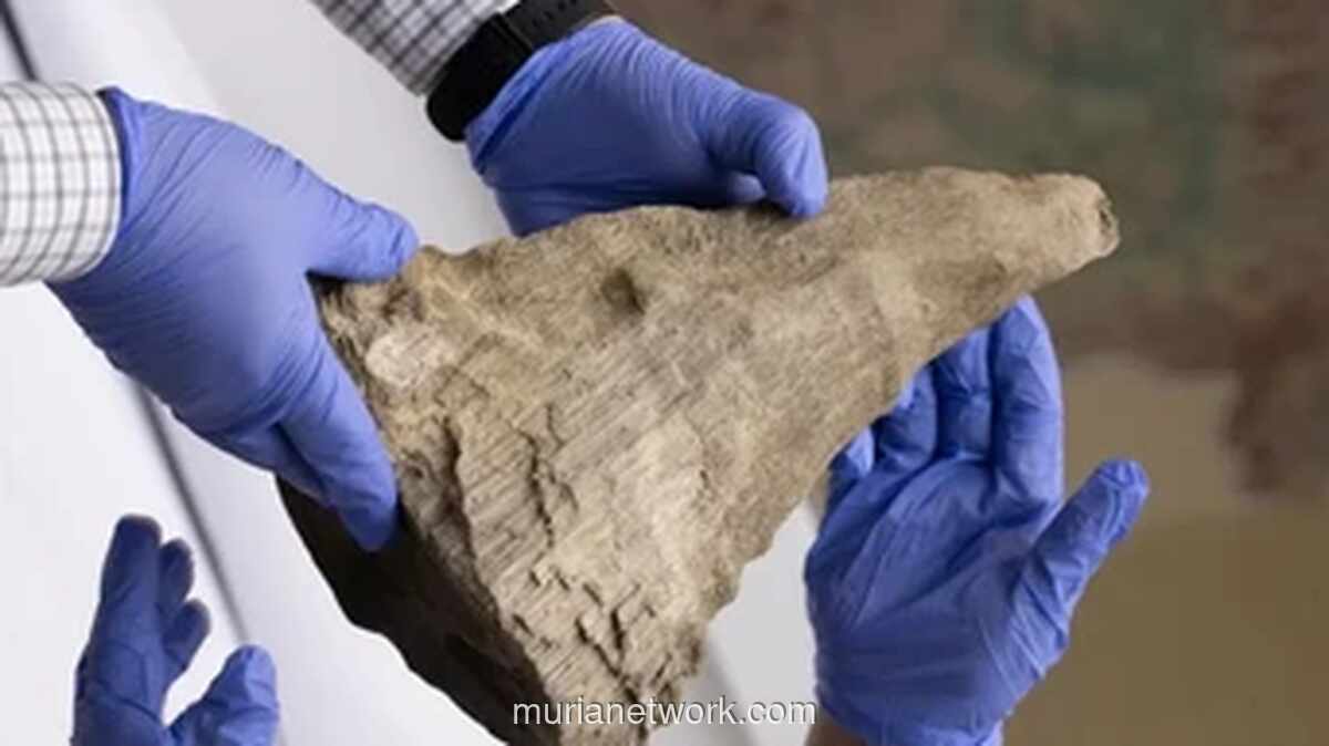 Singapura Gagalkan Penyelundupan 20 Cula Badak Rp 14,6 Miliar, Terbesar dalam Sejarah