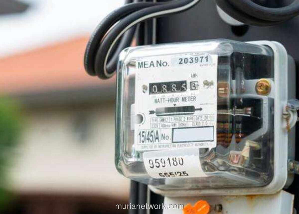 PLN Tetapkan Tarif Listrik Triwulan IV 2025, Simak Rincian untuk 13 Golongan