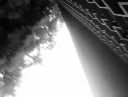 Tanggung Jawab: Kunci Pemuda Membuka Gerbang Masa Depan