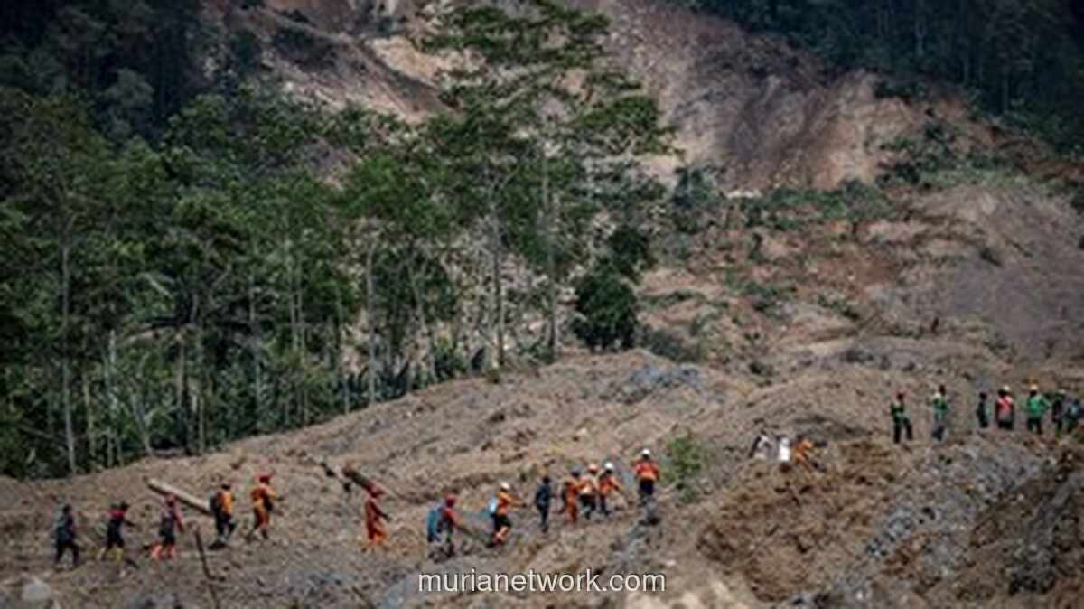 BNPB Evakuasi 18 Korban Longsor Cilacap, Pencarian 26 Warga di Banjarnegara Terhambat Pergerakan Tanah