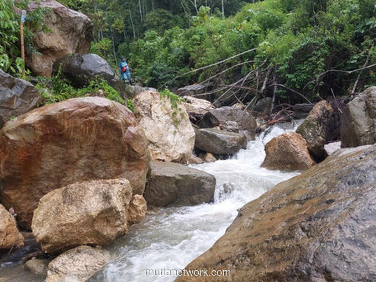 Ekspedisi 4,5 Jam Menembus Rimba Gayo Lues, Mengungkap Ladang Ganja 51 Hektare