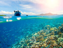 Menyelami Surga Timur Point: Pesona Bunaken yang Tak Terlupakan bagi Para Pemula