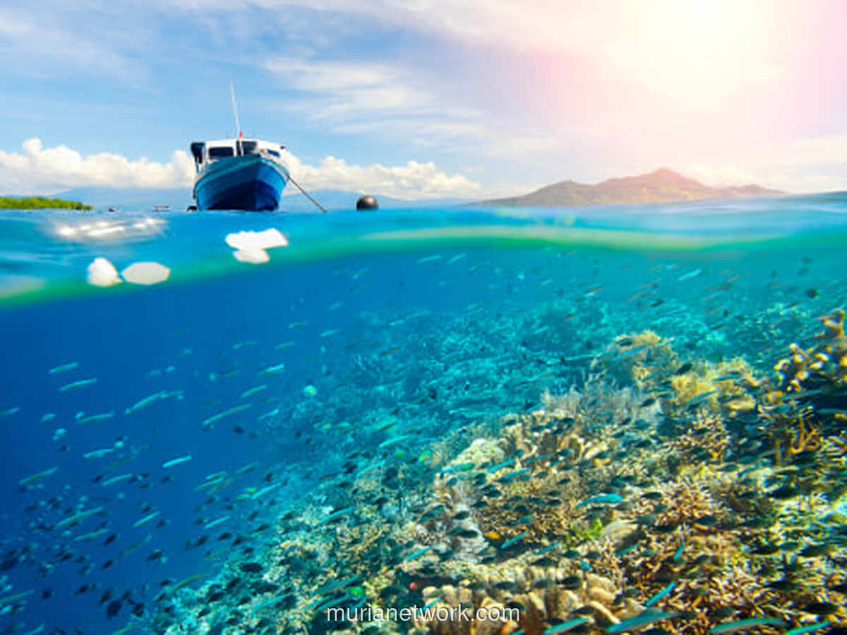 Menyelami Surga Timur Point: Pesona Bunaken yang Tak Terlupakan bagi Para Pemula