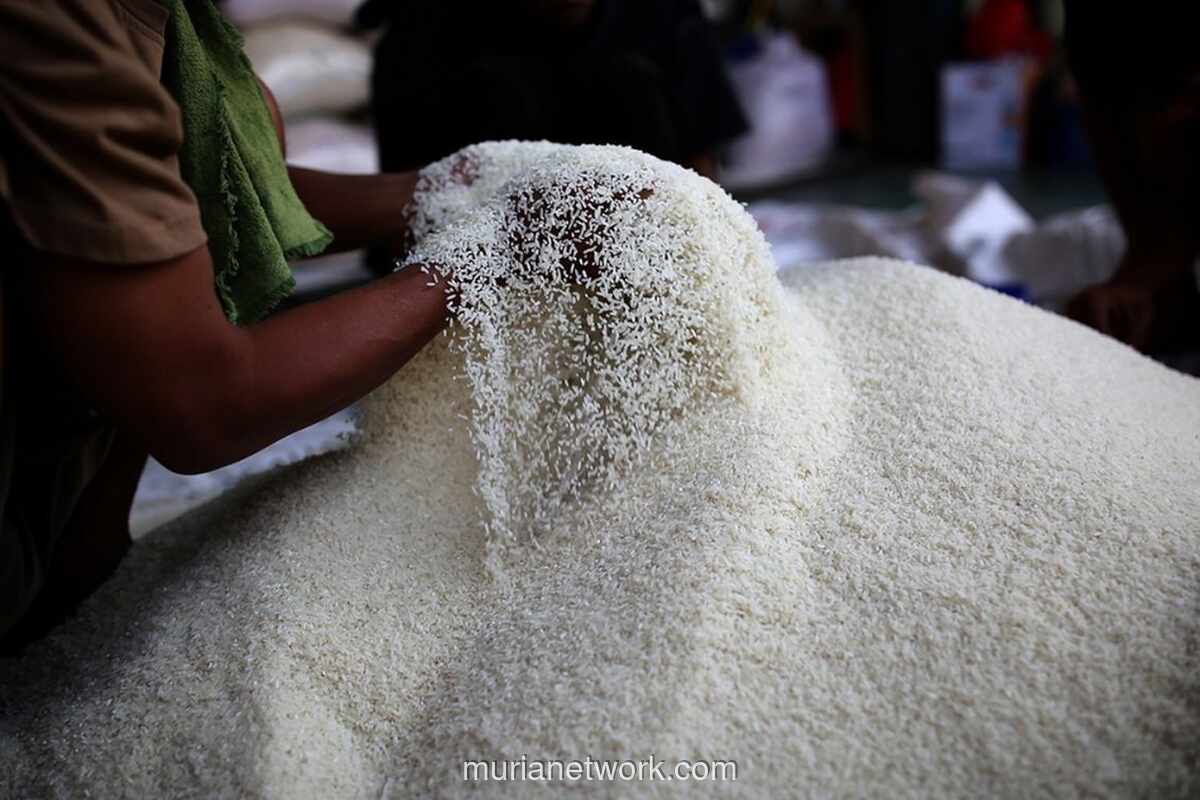 Puluhan Ton Beras Ilegal Disita di Pelabuhan Batam, Diduga Asal Thailand