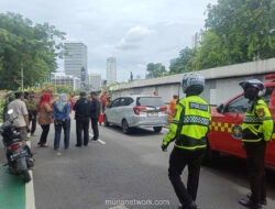 Pohon Tumbang Timbulkan Kemacetan di Kawasan Senayan