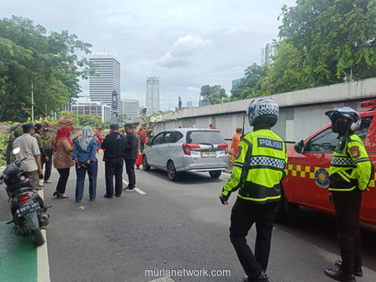 Pohon Tumbang Timbulkan Kemacetan di Kawasan Senayan