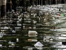 MUI Tetapkan Buang Sampah ke Sungai dan Laut sebagai Perbuatan Haram