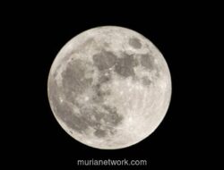 Misteri Inti Bulan Akhirnya Terkuak, Ternyata Mirip dengan Inti Bumi