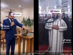 Video Kucing Bereaksi Aneh Bikin Netizen Merinding: Benarkah Mereka Melihat Dunia Lain?