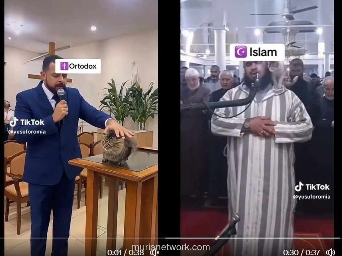 Video Kucing Bereaksi Aneh Bikin Netizen Merinding: Benarkah Mereka Melihat Dunia Lain?