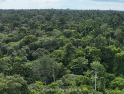 Warga Kuasai Pos Tesso Nilo, Protes Jawaban Satgas yang Dianggap Tak Jelas