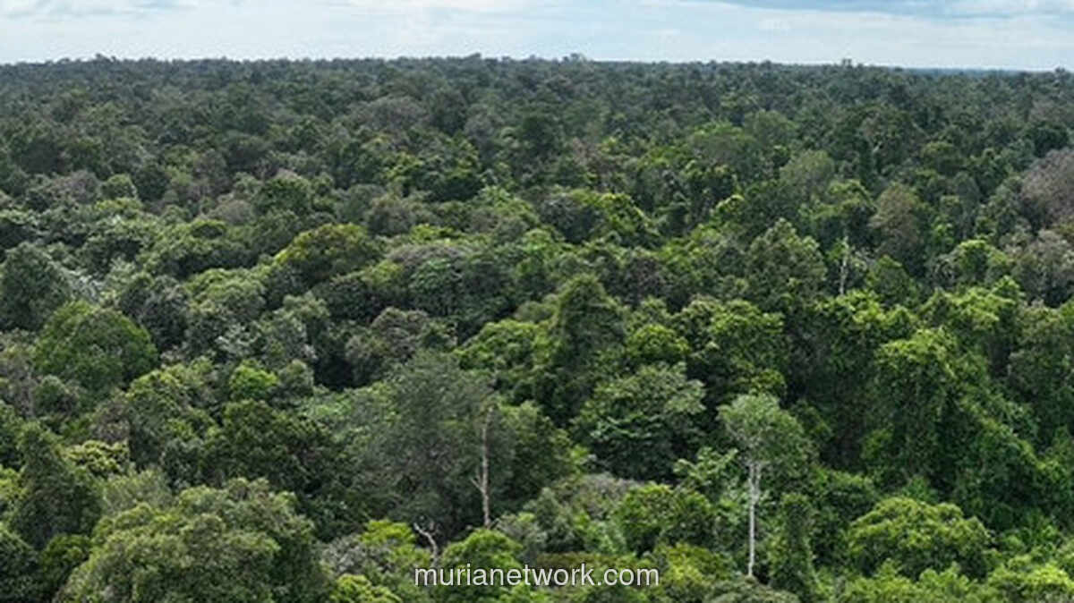 Warga Kuasai Pos Tesso Nilo, Protes Jawaban Satgas yang Dianggap Tak Jelas