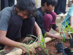 Lembah Suhita Ramai-Ramai Tanam Kaliandra, 350 Relawan Serukan Kolaborasi Lingkungan