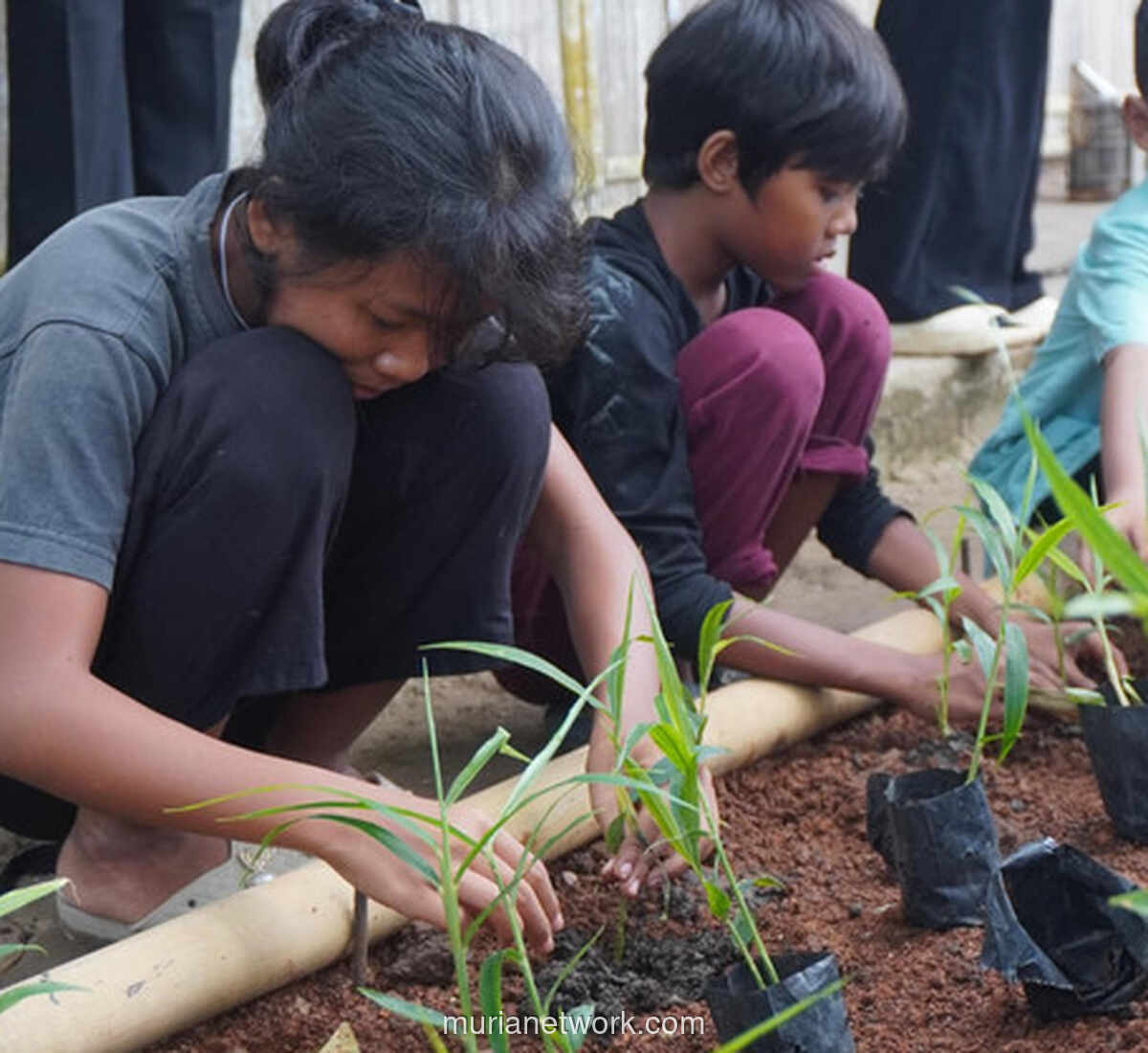 Lembah Suhita Ramai-Ramai Tanam Kaliandra, 350 Relawan Serukan Kolaborasi Lingkungan