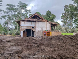 Gumukmas Berjuang Bangkit dari Timbunan Amukan Semeru