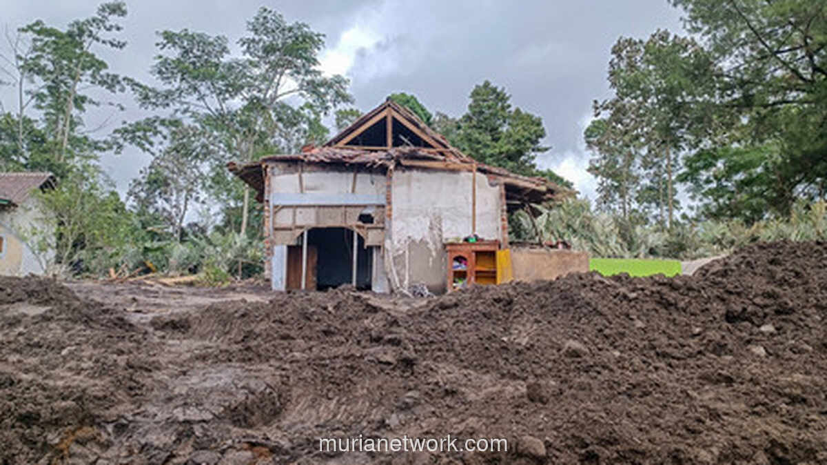 Gumukmas Berjuang Bangkit dari Timbunan Amukan Semeru