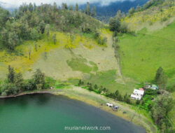 187 Pendaki Semeru Akhirnya Dievakuasi Setelah Terjebak Erupsi