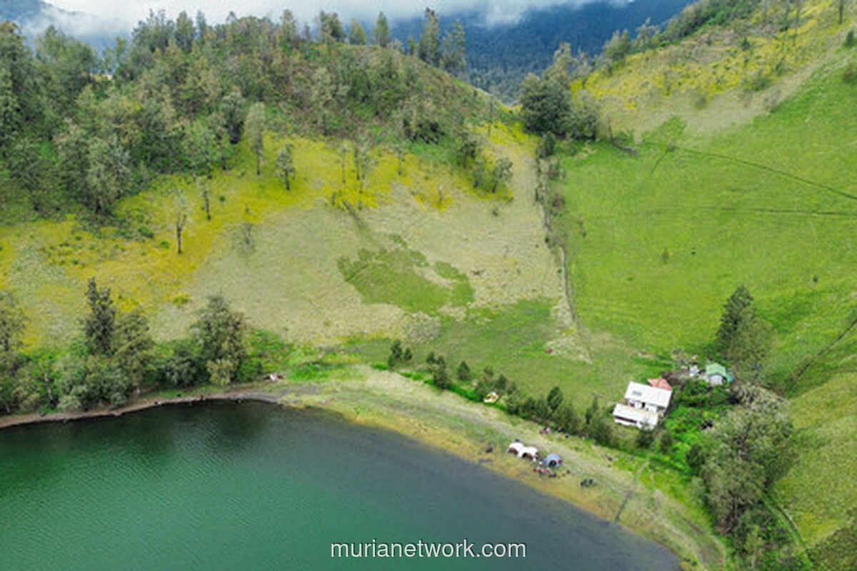 187 Pendaki Semeru Akhirnya Dievakuasi Setelah Terjebak Erupsi