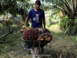 Raksasa Sawit Malaysia Beralih Jadi Raja Energi Hijau untuk Pusat Data