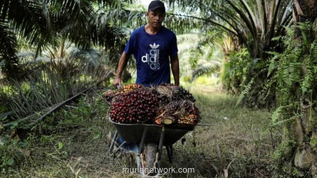 Raksasa Sawit Malaysia Beralih Jadi Raja Energi Hijau untuk Pusat Data