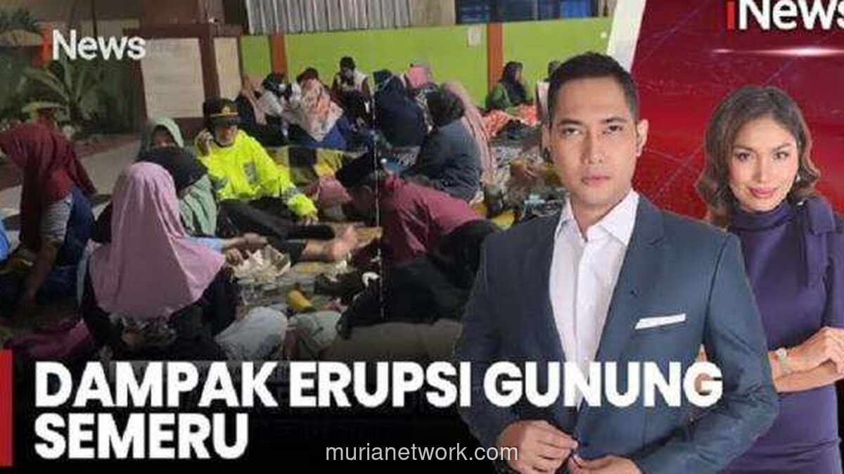 Amukan Semeru Lumat Puluhan Rumah, Ratusan Warga Mengungsi