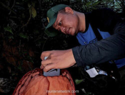 Tangis Haru di Tengah Rimba: Rafflesia Langka Akhirnya Ditemukan Setelah 13 Tahun Menghilang