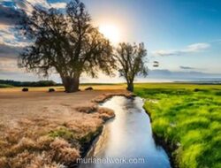 Tantangan di Balik Panggung COP30: Ujian Nyata Indonesia Setelah Konferensi