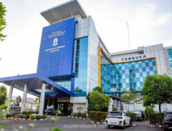 Lulusan Jakarta Terjebak Dilema: Kuliah atau Langsung Kerja?